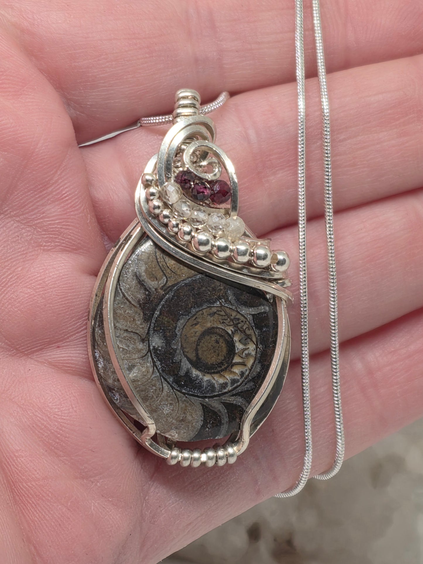 Ammonite