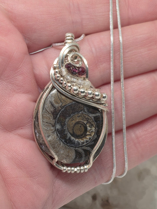 Ammonite